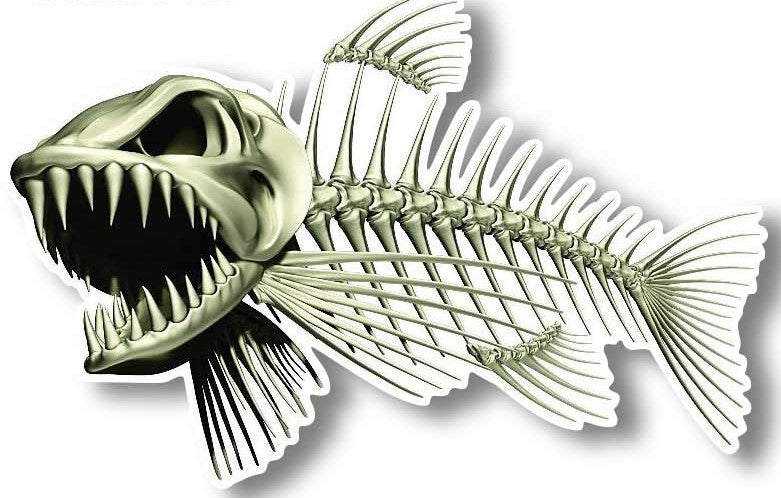 Bone Fish ~ Decal
